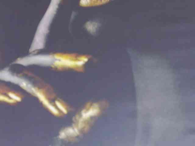 Alexxxaaa webcam