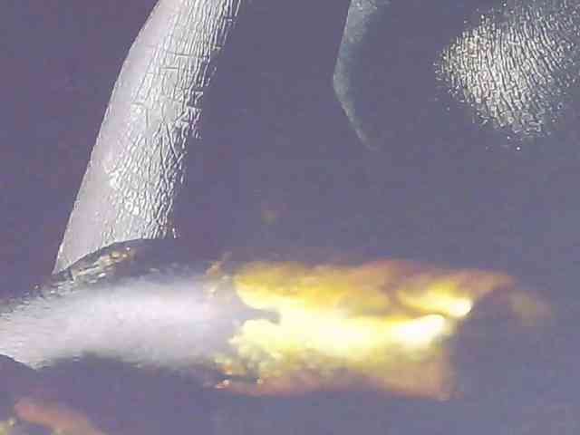 Alexxxaaa webcam