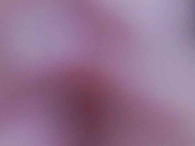 Alexxxaaa webcam