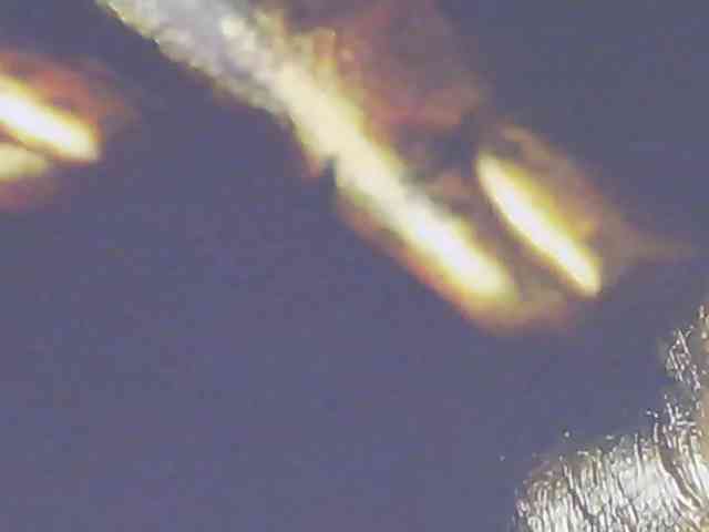 Alexxxaaa webcam