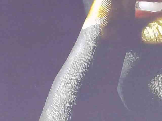 Alexxxaaa webcam