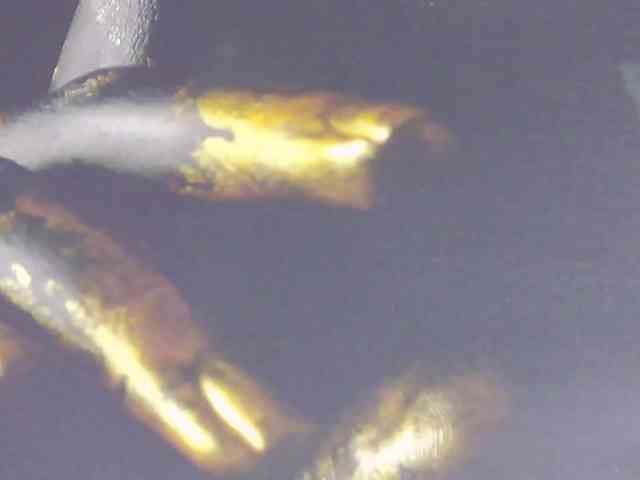 Alexxxaaa webcam
