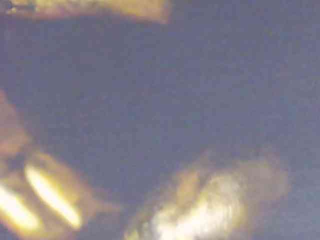 Alexxxaaa webcam