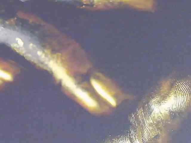 Alexxxaaa webcam