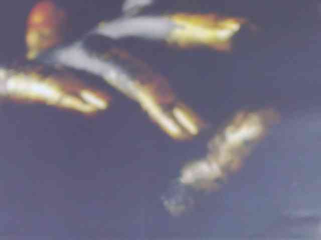 Alexxxaaa webcam
