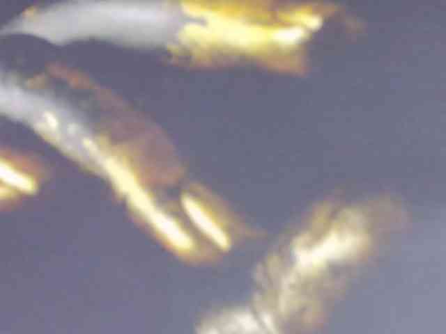 Alexxxaaa webcam