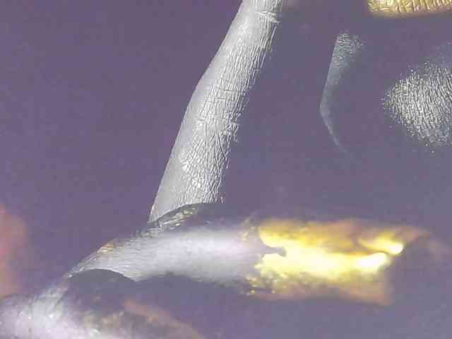 Alexxxaaa webcam