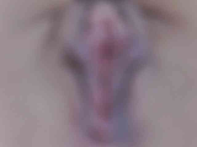 Alexxxaaa webcam