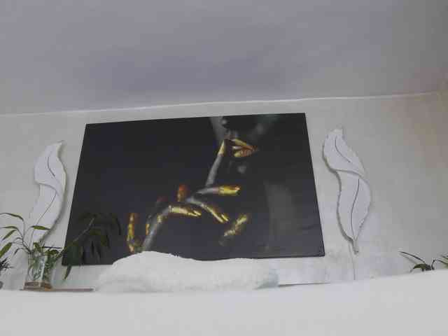 Alexxxaaa webcam