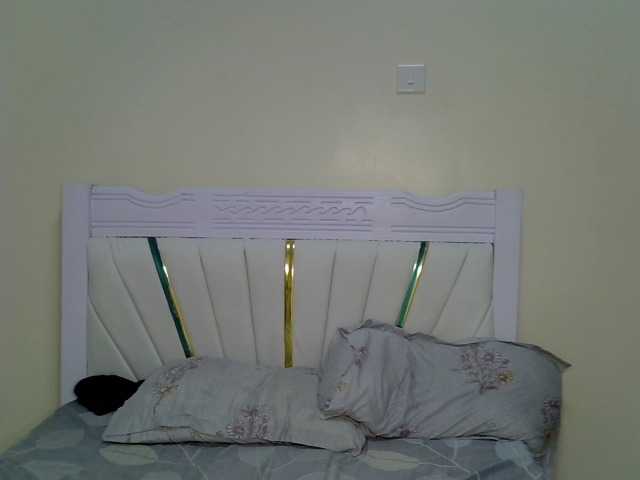 PetiteNoir live cam on BongaCams