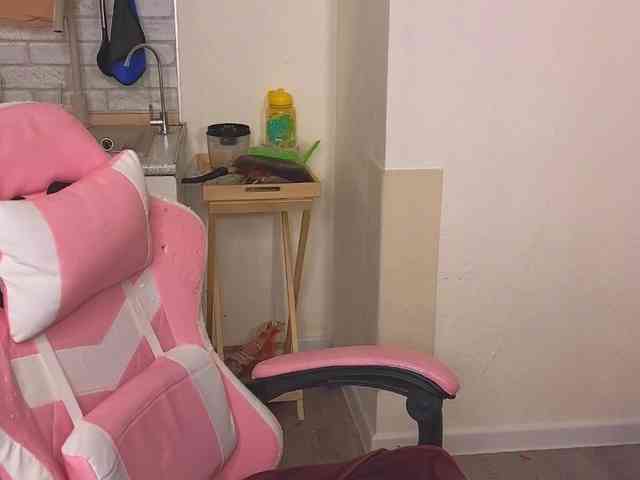 SunshuneX webcam
