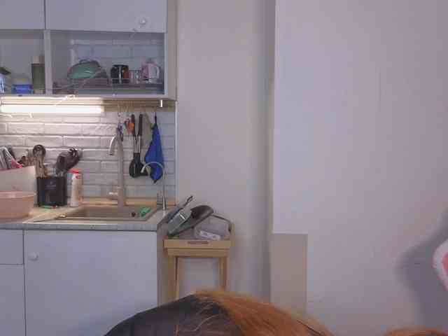 SunshuneX webcam