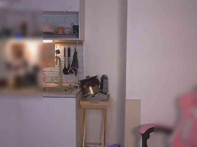 SunshuneX webcam