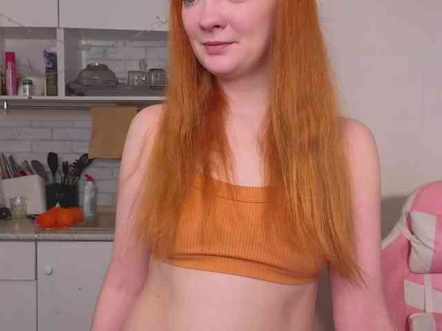 Model: SunshuneX