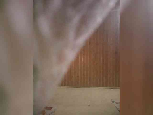Thickfaye webcam