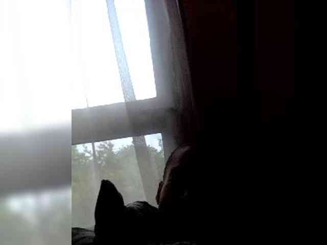skanky86 webcam