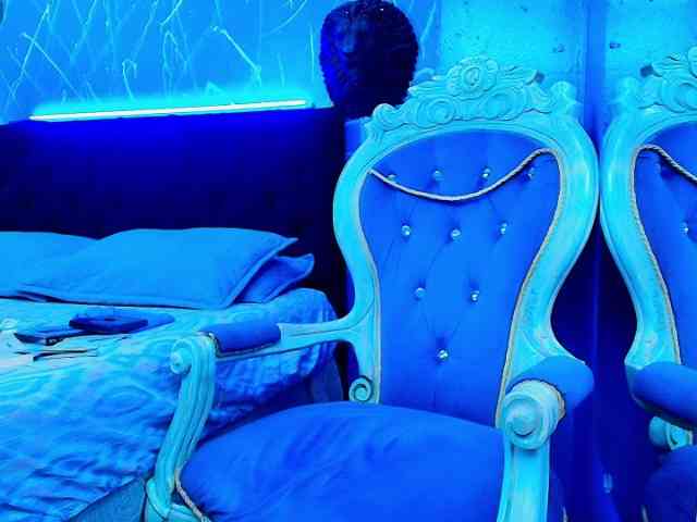 LexterBlue LexterBlue