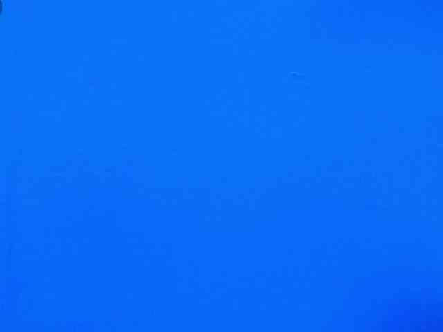 LexterBlue
