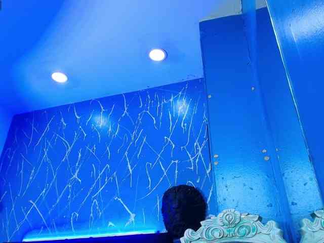 LexterBlue LexterBlue