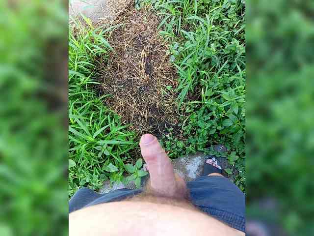 SHALUNNN3