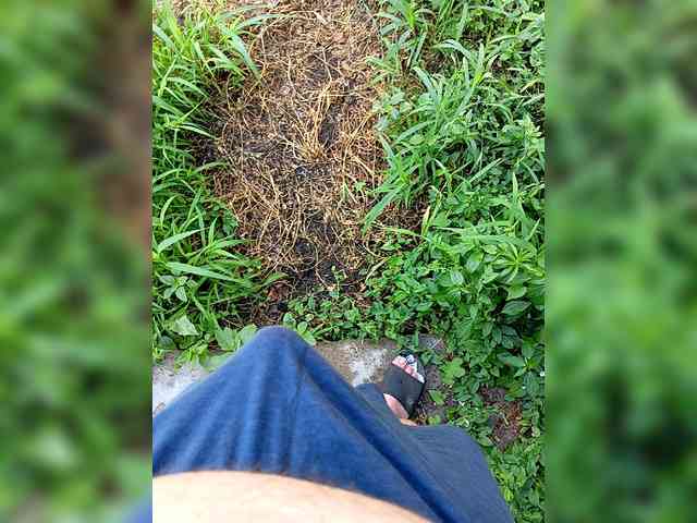 SHALUNNN3