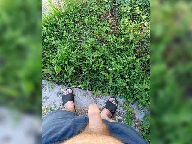 SHALUNNN3