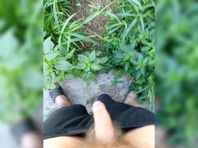 SHALUNNN3