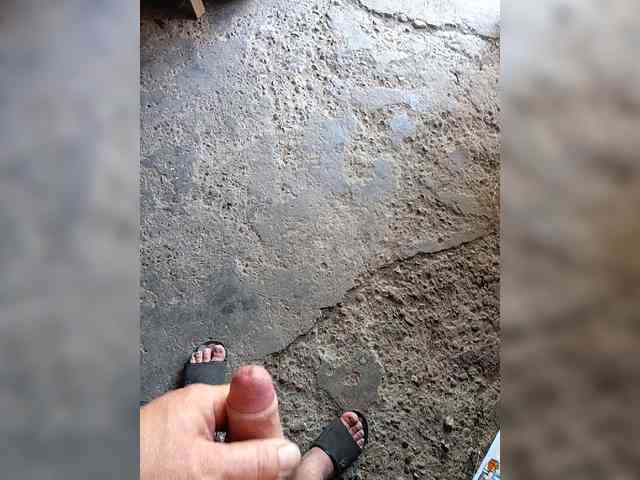 SHALUNNN3