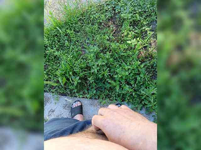 SHALUNNN3