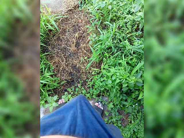 SHALUNNN3