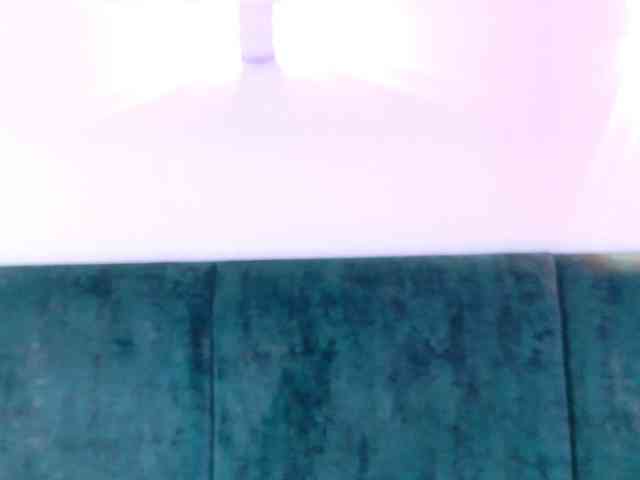 Agatha-Lynx webcam