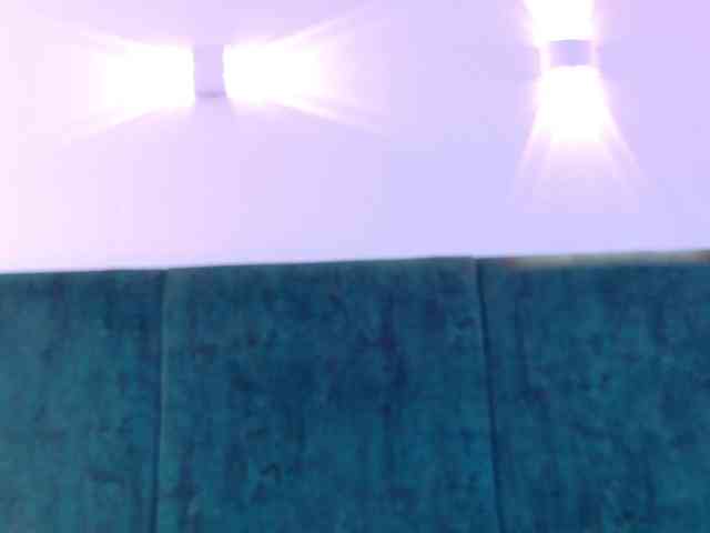 Agatha-Lynx webcam