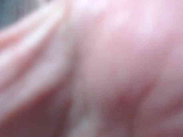 forbidden-cougar webcam