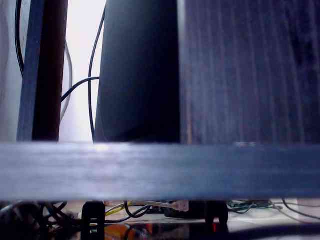 forbidden-cougar webcam