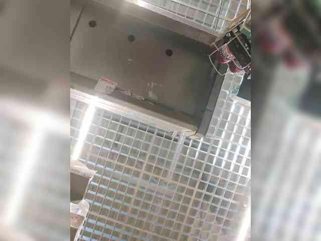 White00Pearl webcam