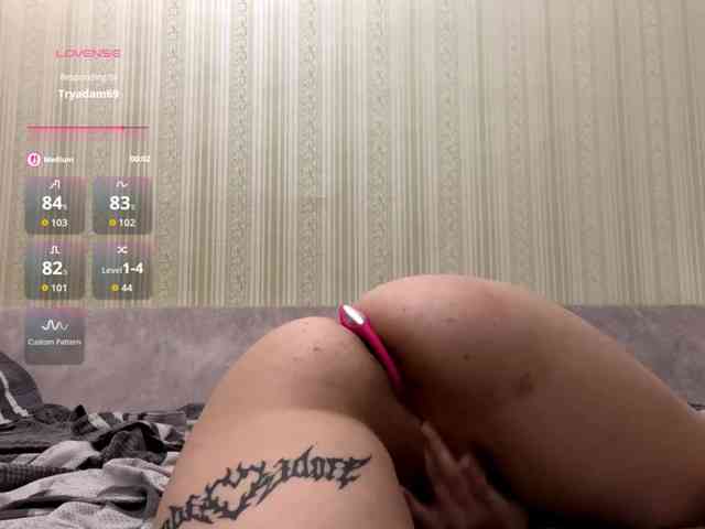Sweetmeow webcam