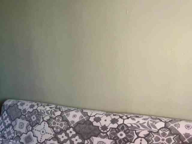 peachpuff webcam