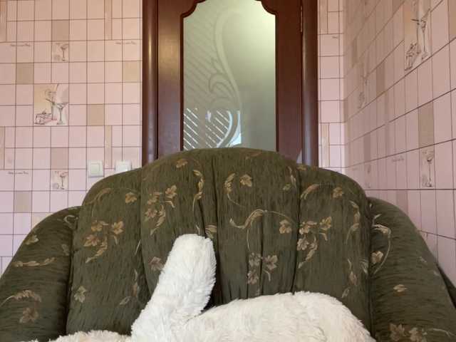 RonnaWillow live cam on BongaCams