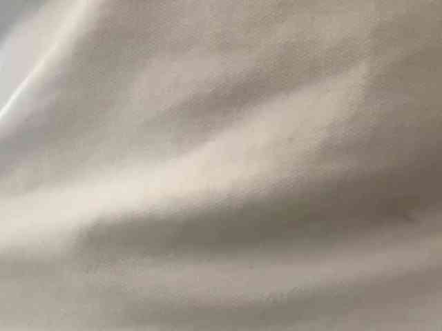 RonnaWillow webcam