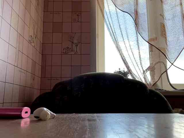 RonnaWillow webcam