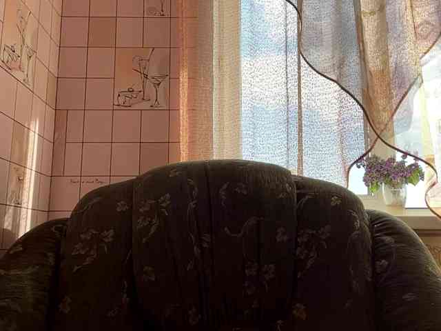 RonnaWillow webcam
