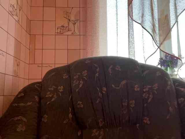 RonnaWillow webcam