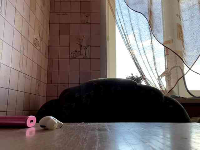 RonnaWillow webcam