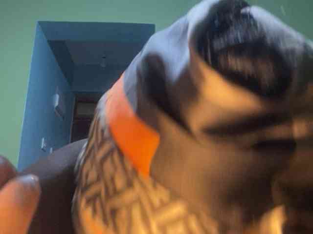 cadie1321 webcam