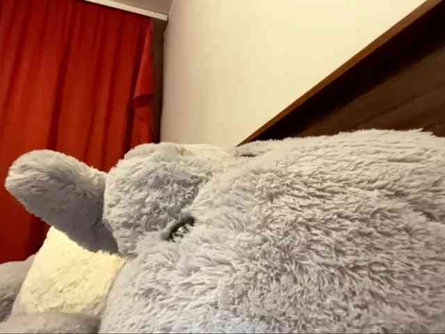 ToyaDerringer webcam