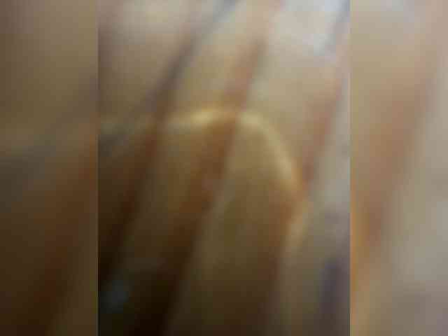 Linatrans