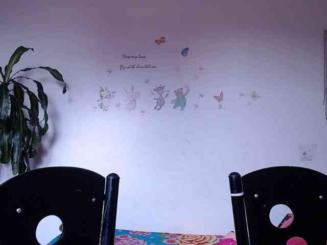 Maye-dan webcam
