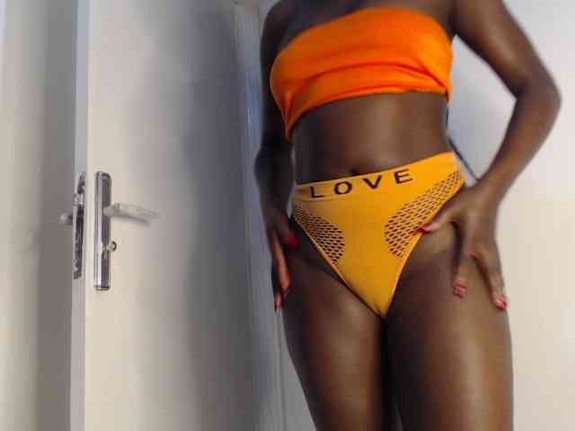 Too-hot webcam
