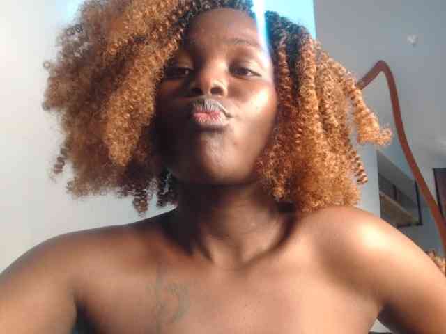 Too-hot webcam