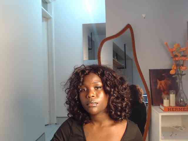 Too-hot webcam